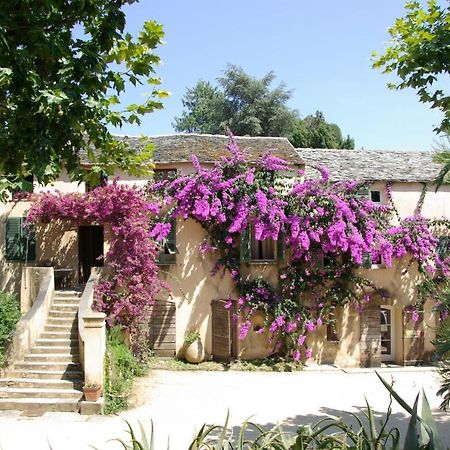 Domaine De Valle Sorbo-Ocagnano Exterior foto