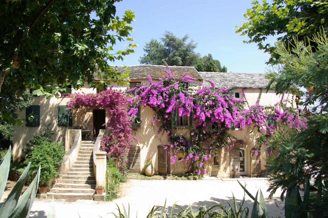 Domaine De Valle Sorbo-Ocagnano Exterior foto